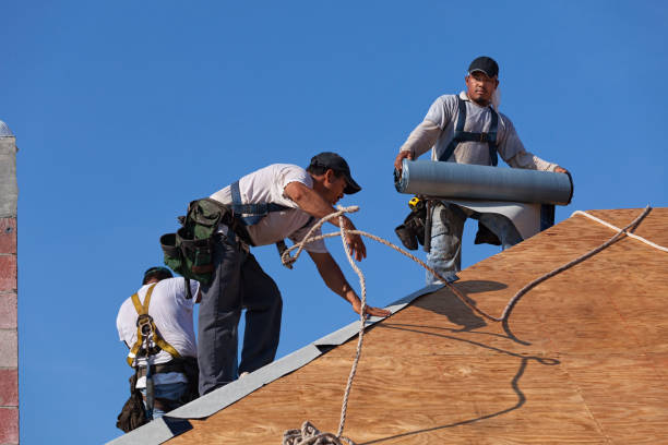 Best Local Roofing Companies  in Chester Gap, VA