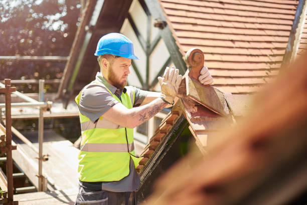 Best Roof Restoration Services  in Chester Gap, VA